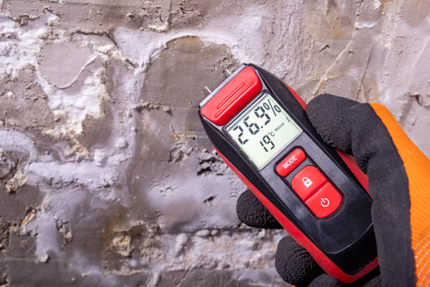Best Crawl Space Mold Remediation in Kensington, CA