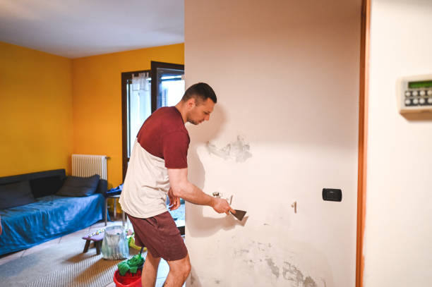 Best Post-Remediation Services in Kensington, CA